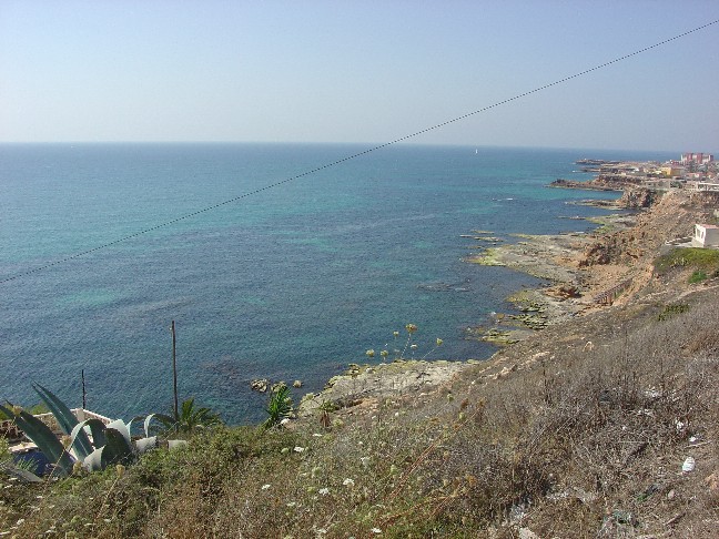 torreviejaseascape