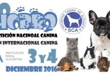EXPOCACHORRO auf der IFA, 3. und 4. Dezember EXPOCACHORRO IFA, Alicante, 3. und 4. Dezember 2016