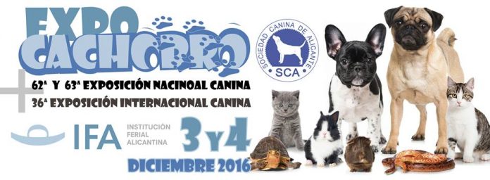 EXPOCACHORRO IFA, Alicante, 3 y 4 de diciembre 2016