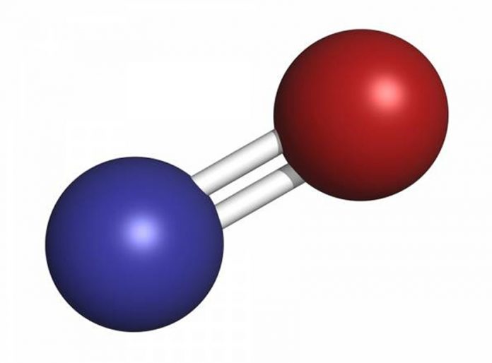 What is Nitric Oxide and why does the body need it?