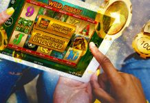 Hoe mensen de gekke wereld van gokkasten kunnen begrijpen Online gokkasten zijn fel en vol potentieel voor zowel spanning als beloningen en zijn snel uitgegroeid tot een van de populairste vormen van entertainment op internet.