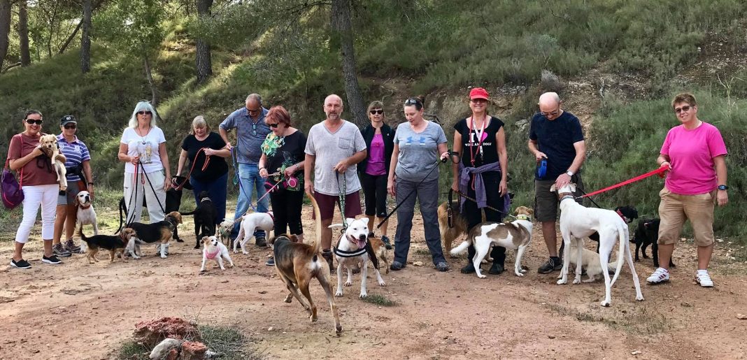 Barkinside 2
