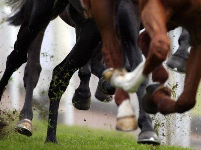 The outbreak has caused concern with the Cheltenham Festival set to get underway in March.