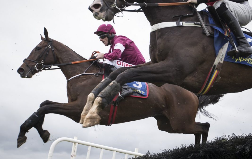 Roaring Bull Roaring Bull gained an emphatic 14 lengths win returning at 7-1