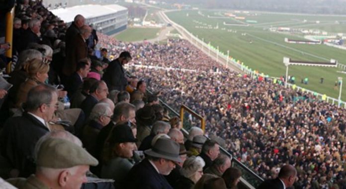 1,828 five horse winning accumulator at Cheltenham Festival for Leader tipster