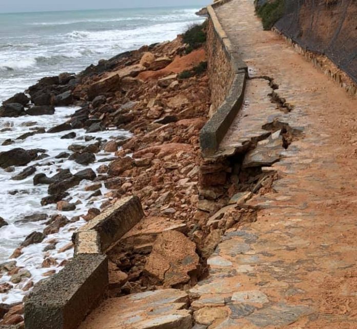 57955765_10157489671811159_1349285897551478784_n