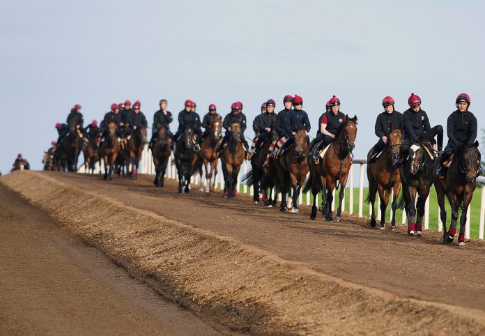 Aidan O'Brien trained horses at Coolmore stud