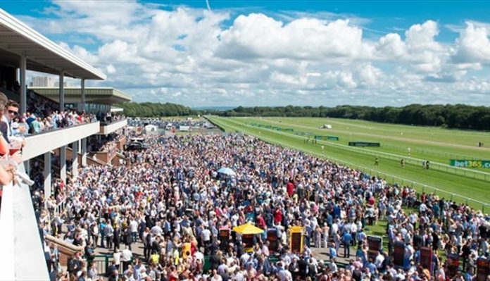 So You Want To Be a Racing Steward