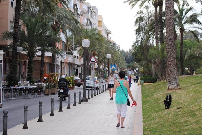 Guardamar will invest one million euros in remodeling la Avenida de Los Pinos