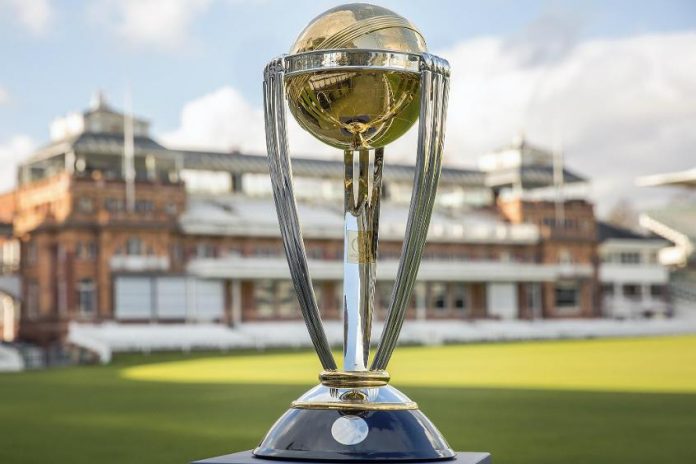 Cricket World Cup Final Preview