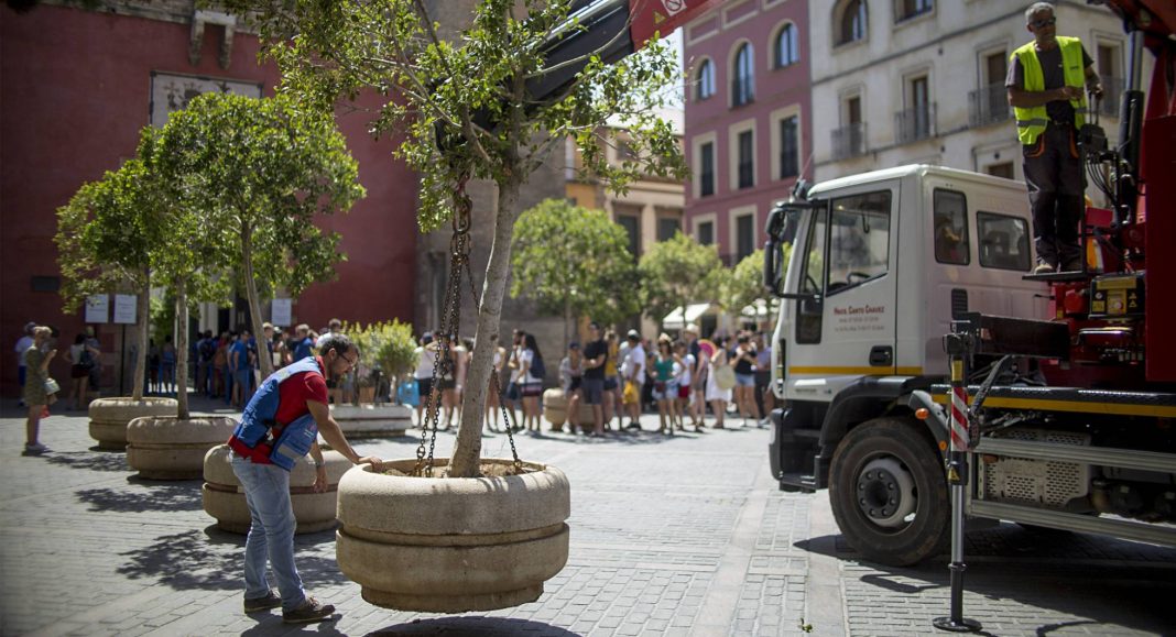 Torrevieja security boosted by “antiterrorist” planters