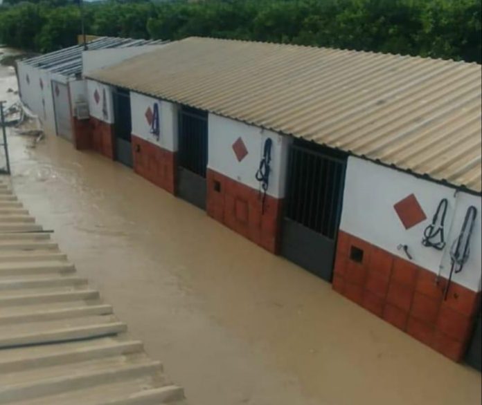 *Horses and stables in the aftermath  of the Gota Fria.