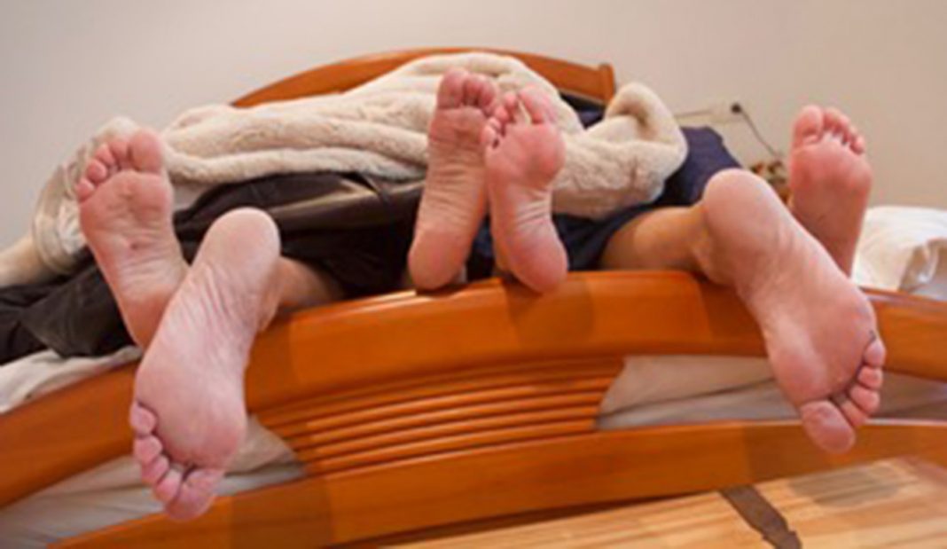 IMG_0604 (1) Hva har du i sengen din?