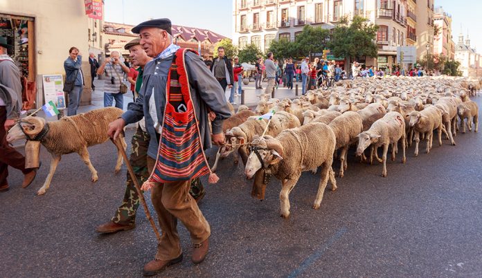 Fiesta de la Trashumancia, Madrid.