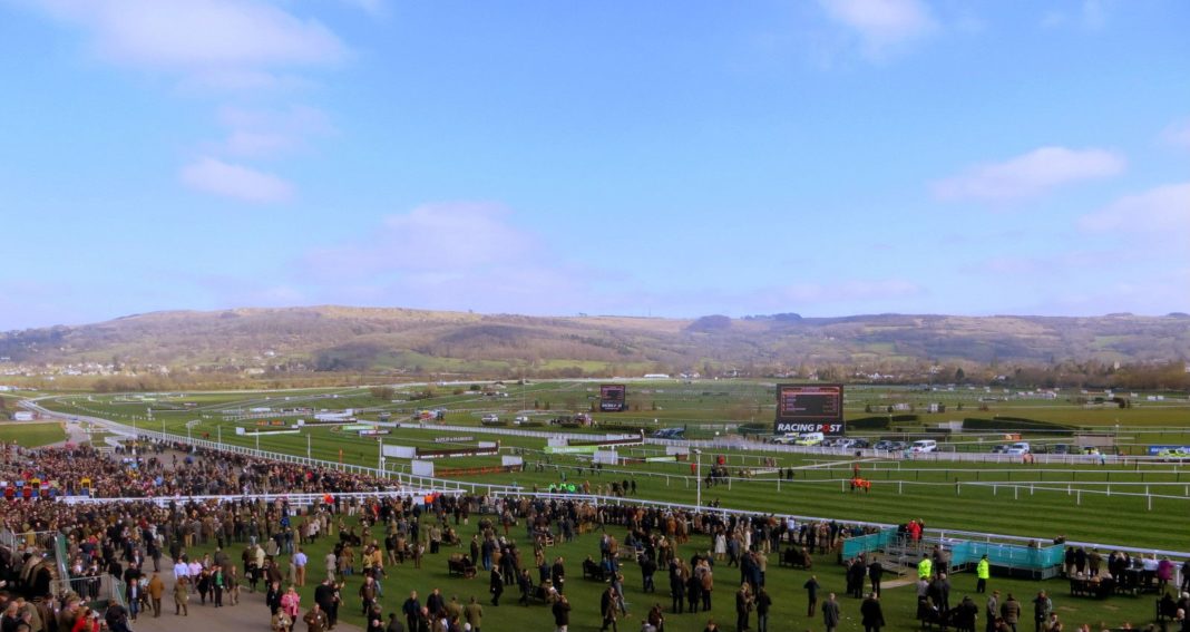 Fiddlerontheroof odds shortened for Cheltenham