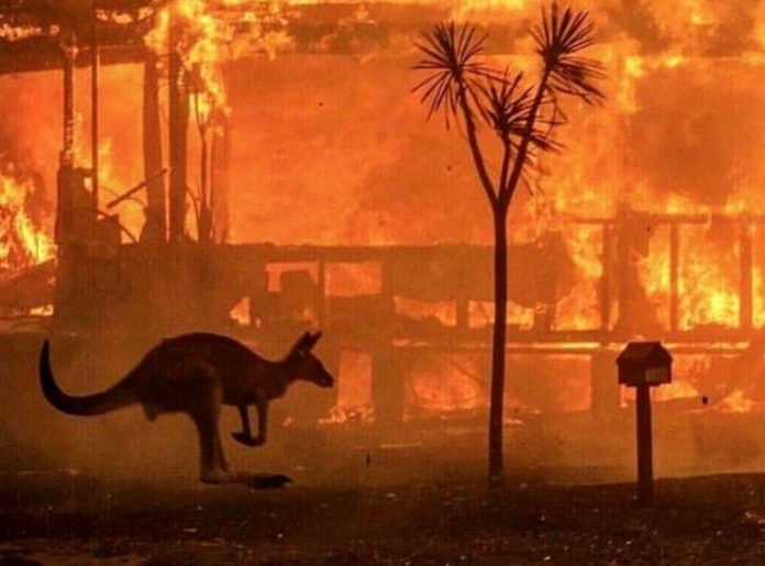 24 people charged in Australia for causing forest fires deliberately