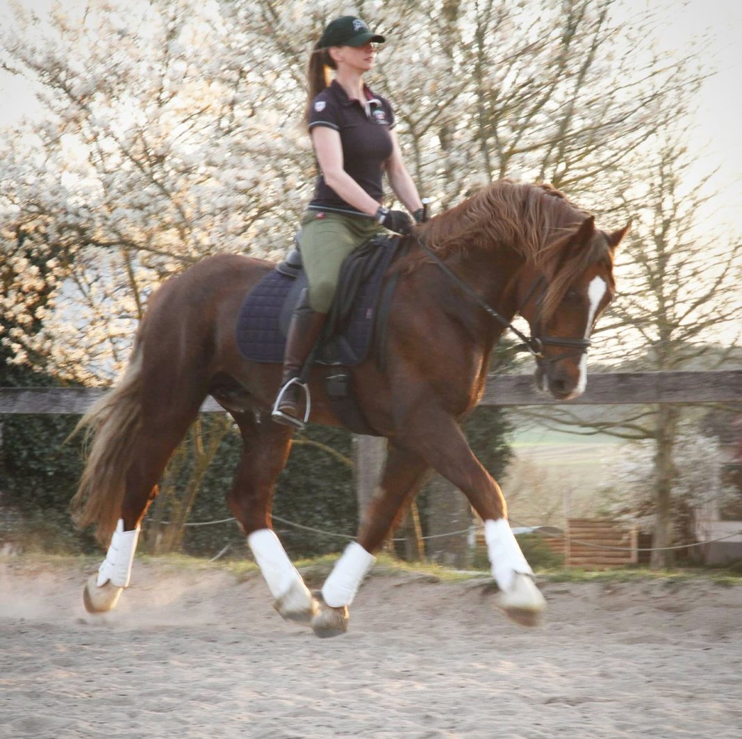 Emma Tytherleigh and new horse Ricchi in Munich.