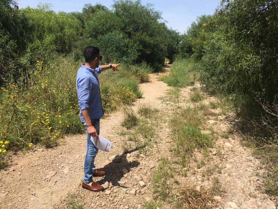 Cleaning the Rambla de Cabo Roig will begin in early June.