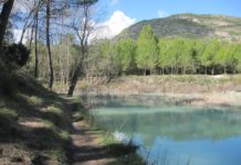 GRUPPO DI GARA DI CARPE URBANE (UCMG) Domenica 5 gennaio 2025 eravamo in 13 a pescare a El Bosquet: beh, in questo caso direi che pescare con più "frequentazione" sarebbe più appropriato!