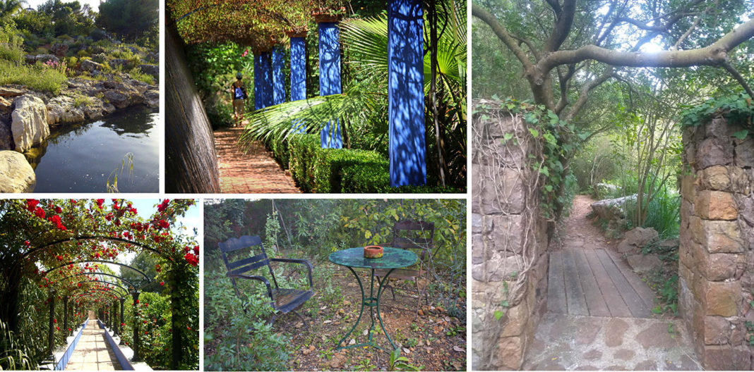 Forest Bath in the Albarda Garden