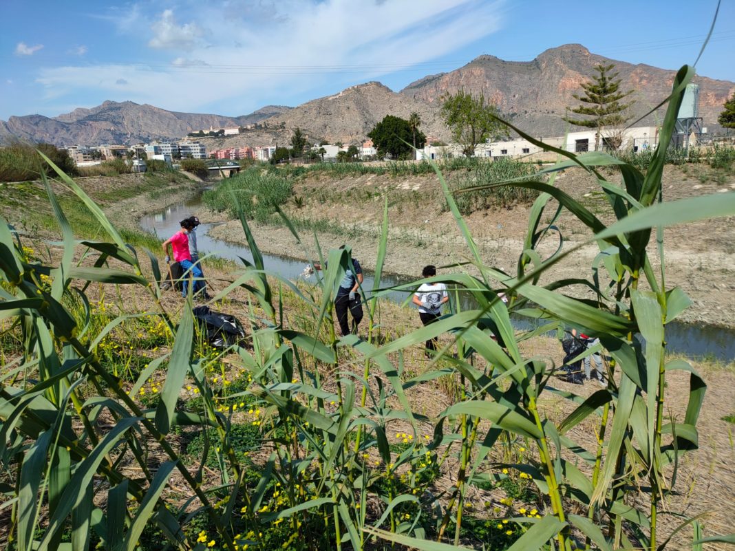 Volunteers clean up the Segura to mark "World Rivers Day"