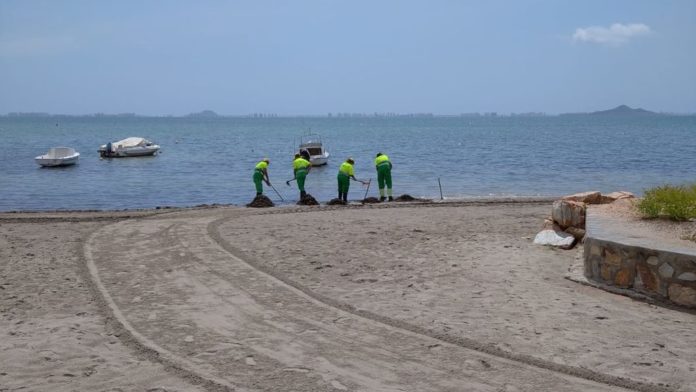 MASS BRAWL ON LOS ALCÁZARES BEACH