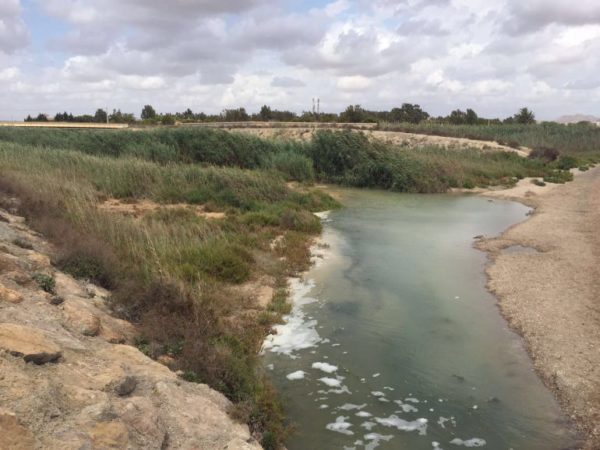 The Rambla del Albujon