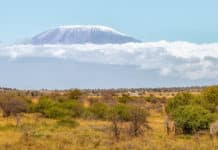 Abenteuertourismus in Tansania: Was tun? Kilimandscharo-Nationalpark