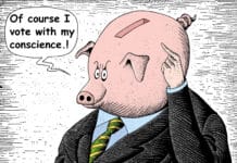 Pursuit of money is ruining Orihuela Costa