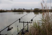 GRUPPO DI GARA DI CARPE URBANE Domenica 26 gennaio eravamo in 11 a El Bosquet Fisheries per la nostra seconda partita di campionato e abbiamo salutato gennaio, che si è concluso con il botto, o almeno per un pescatore sì.