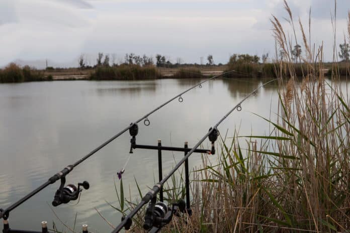 October has been, so far, a quiet month for UCMG, mainly due to the number of Spanish clubs booking El Bosquet and restricting us to one section to fish.