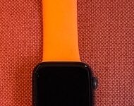 Une autre trouvaille pour les détecteurs de métaux ADAPT