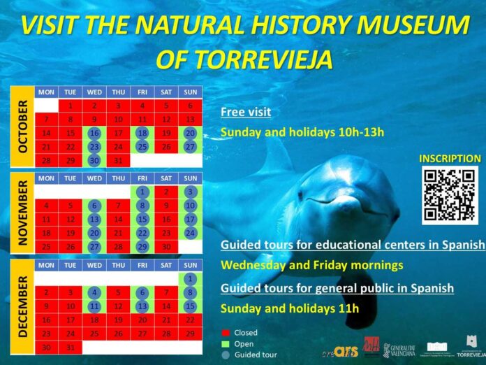 Torevieja Natural History Museum offers Free Guided Tours