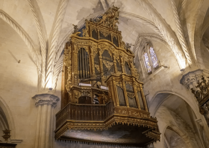 Orihuela cathedral organ to receive municipal grant