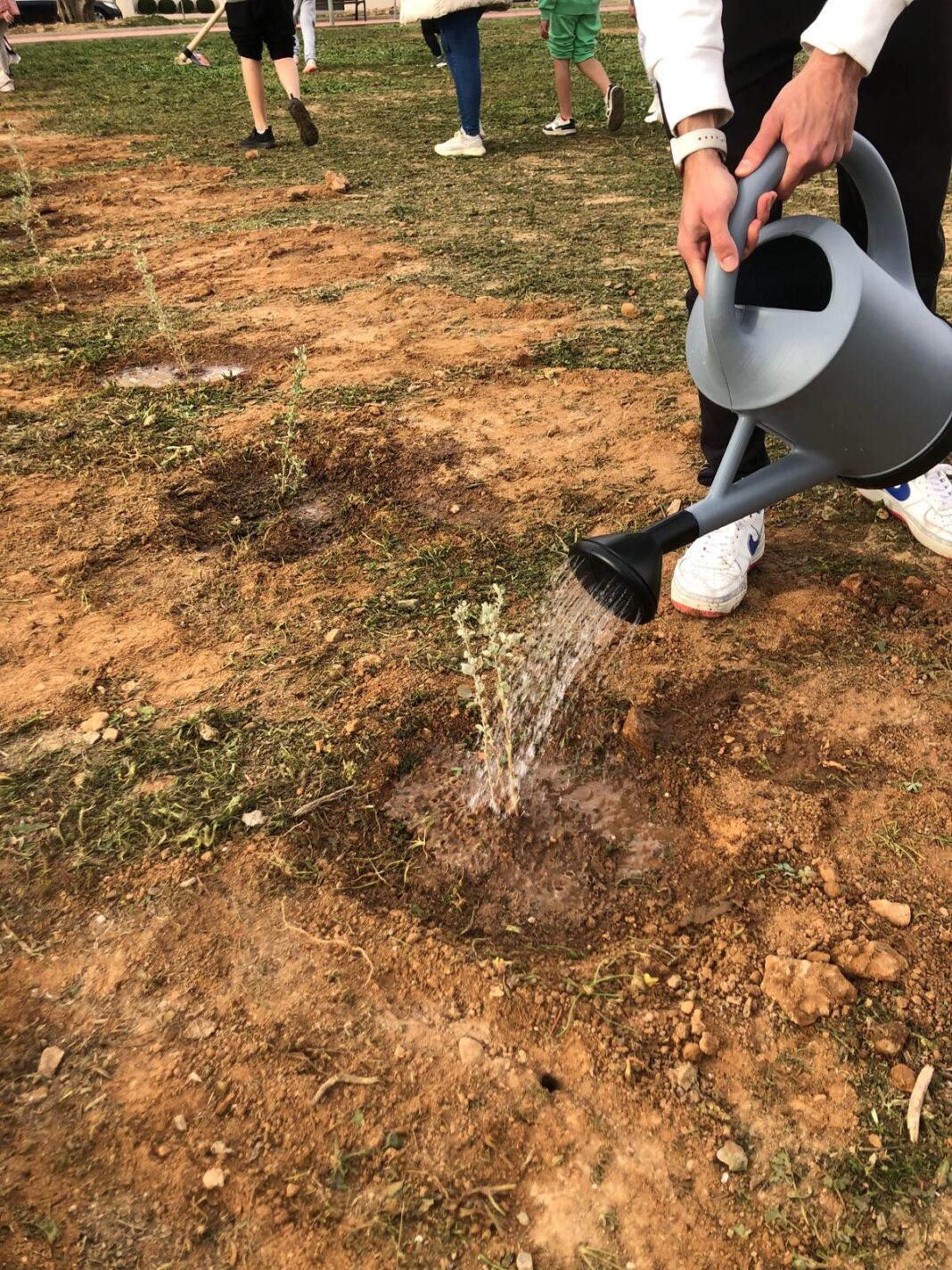 The students successfully planted 650 trees and shrubs across three designated plots