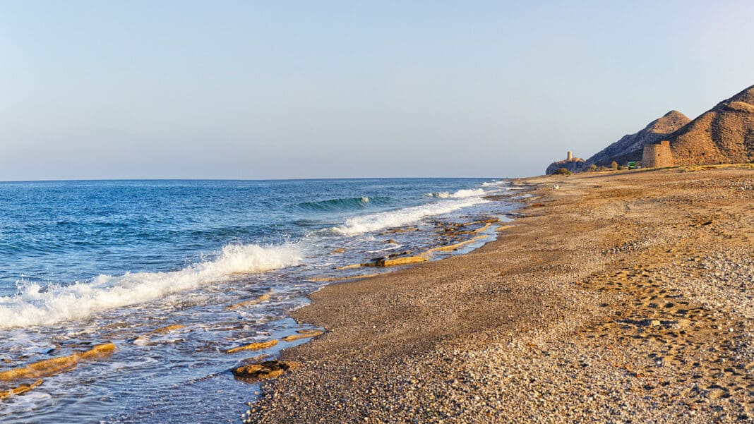 Macenas beach, with its new configuration, will not only become a gathering point for animal lovers, but also an example of how tourism development can go hand in hand with inclusion and sustainability.