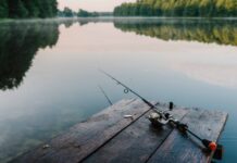 Scarse prede in Urban Carp Match 3 Almeno due pescatori hanno infranto la barriera delle doppie cifre: Martin Fisher, della postazione 13, con il peso massimo della giornata di 17 kg.