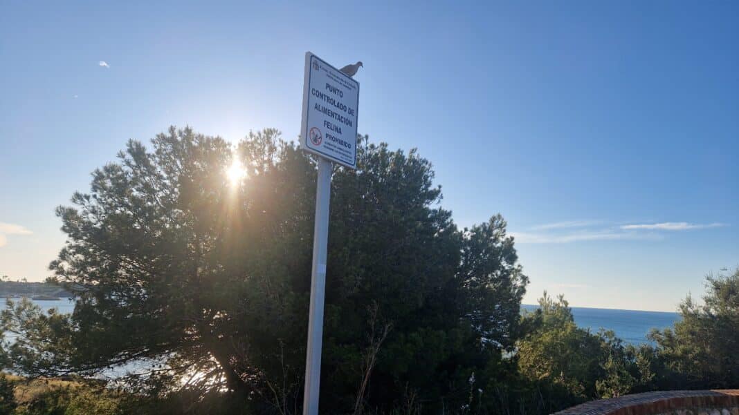 Throughout the day, temperatures will gradually rise, reaching a high of 20 degrees Celsius at midday