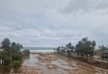 Værmelding for Torrevieja og Orihuela Costa – søndag 4. januar 2026 Regionen forventer en stort sett overskyet og urolig dag 4. januar 2026, med vedvarende regn og høy luftfuktighet som vil forme forholdene i hele området fra formiddagen.