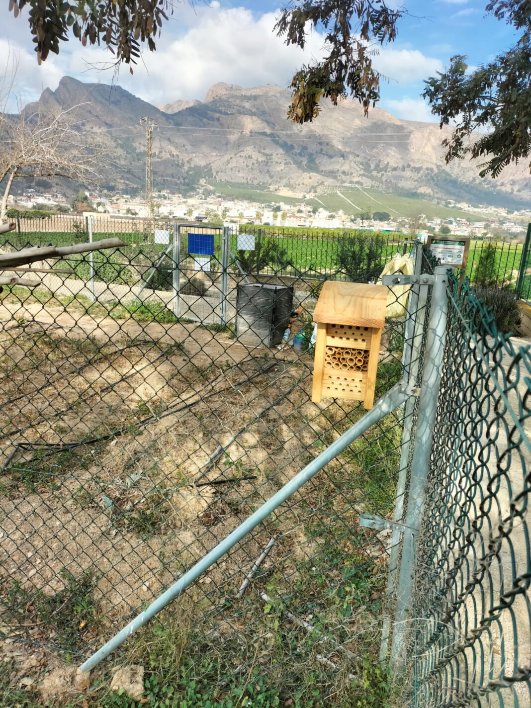 Beyond their ecological benefits, these insect hotels will serve as an educational tool to raise awareness about the importance of insects in maintaining natural balance