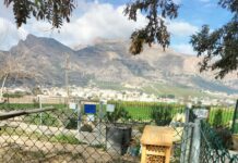 Urban Gardens Welcome Two Insect Hotels to Promote Biodiversity Beyond their ecological benefits, these insect hotels will serve as an educational tool to raise awareness about the importance of insects in maintaining natural balance