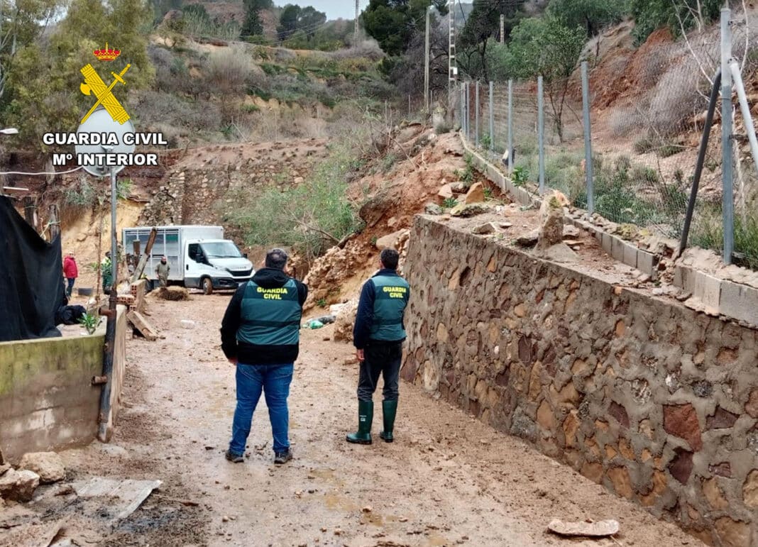 Bisher wurden vier Diebstähle aufgeklärt, bei denen es um den Diebstahl von mehr als 50 Schafen ging.