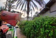 Orihuela lanserer anbud for kommunal myggkontrollkontrakt The service will focus on both preventative measures and responsive actions to control outbreaks.