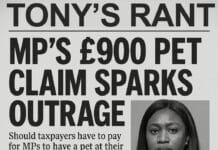 TONY MAYES RANT – FROM TARIFFS TO PARLIAMENTARY POOCH Taiwo Owatemi did not break the rules, but her 'pet rent' expenses claim has ignited calls to further tighten expenses regulations