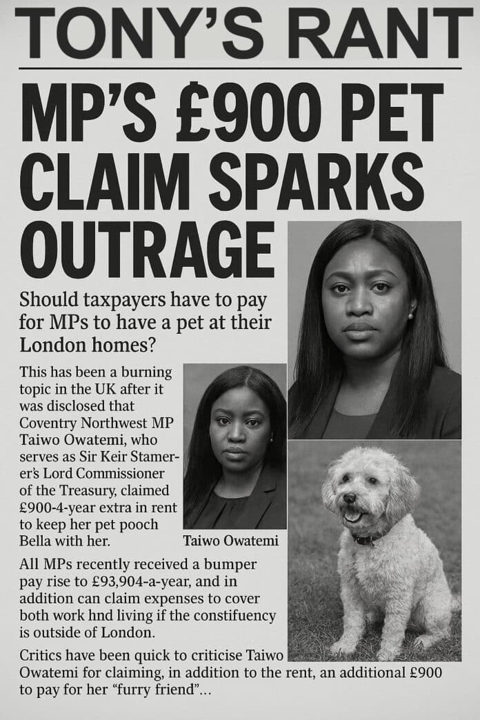 Taiwo Owatemi hat die Regeln nicht gebrochen, aber ihre Spesenabrechnung für die „Haustiermiete“ hat Forderungen nach einer weiteren Verschärfung der Spesenregelungen ausgelöst