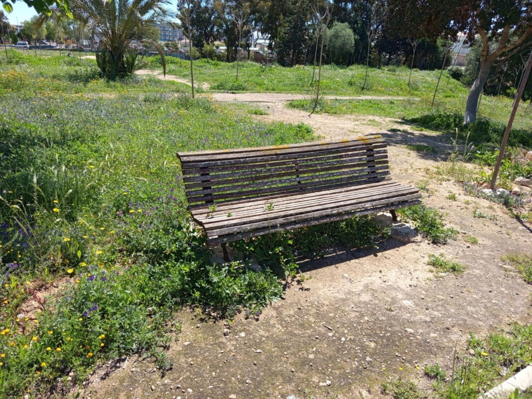 Vines sprawl unchecked over benches, while cracked pavements are choked with weeds pushing through their fractured surfaces.