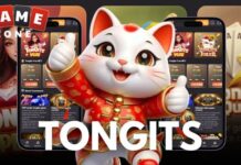 Dominando las Tongits: Elementos cruciales para recordar Tongits destaca por su cautivadora combinación de estrategia, observación y psicología. Este favorito filipino ha ganado popularidad a nivel mundial, con jugadores atraídos por su singular combinación de habilidad y azar.