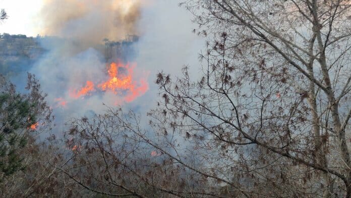 As flames continue to creep up the steep bank toward the apartments on Oleza 2 The fire tender is attempting to dampen down the bracken surrounding about 30 properties.