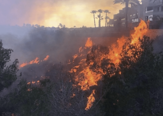 Este efectivo perdido se destinó a proyectos vitales de prevención de incendios forestales, como eliminar los cortacéspedes, recortar árboles, limpiar juncos, arreglar caminos forestales y asegurarse de que los puntos de agua para la lucha contra incendios estén listos para funcionar. En cambio, Orihuela no recibe nada.
