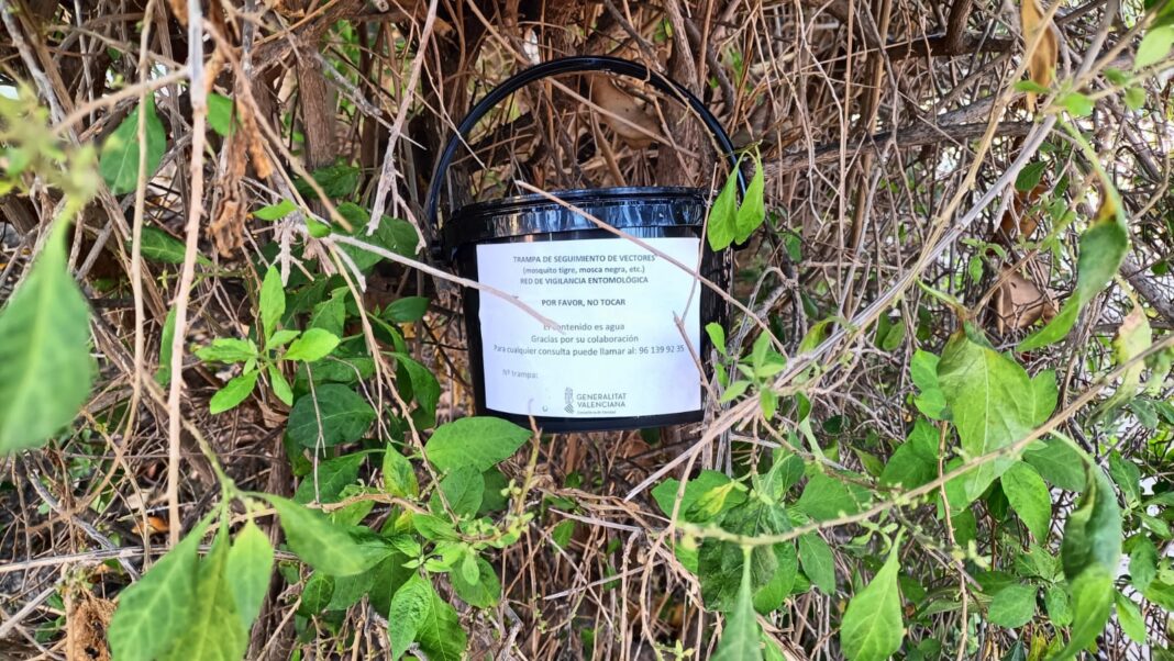 Die Stadtverwaltung von Orihuela hat eine neue Kampagne zur Mückenbekämpfung und -überwachung gestartet und im gesamten Gemeindegebiet Überwachungsfallen aufgestellt.